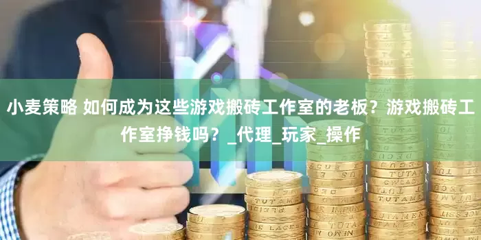 小麦策略 如何成为这些游戏搬砖工作室的老板？游戏搬砖工作室挣钱吗？_代理_玩家_操作