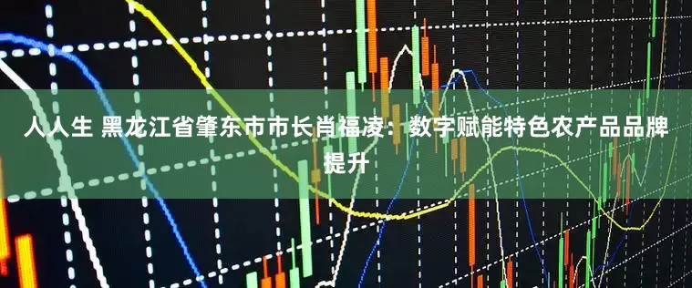 人人生 黑龙江省肇东市市长肖福凌：数字赋能特色农产品品牌提升