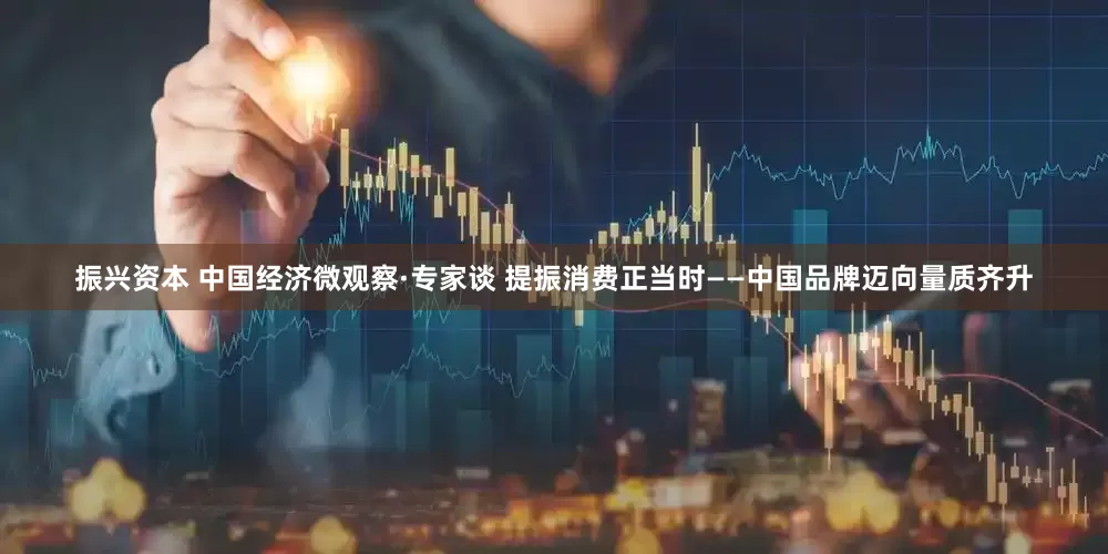 振兴资本 中国经济微观察·专家谈 提振消费正当时——中国品牌迈向量质齐升