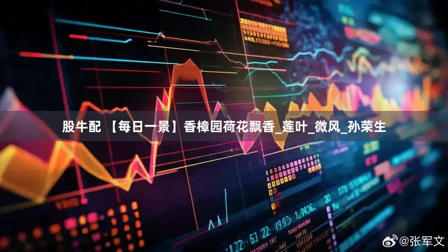 股牛配 【每日一景】香樟园荷花飘香_莲叶_微风_孙荣生