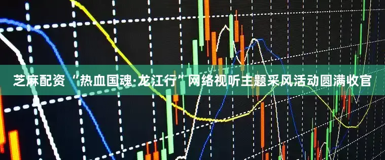 芝麻配资 “热血国魂·龙江行”网络视听主题采风活动圆满收官