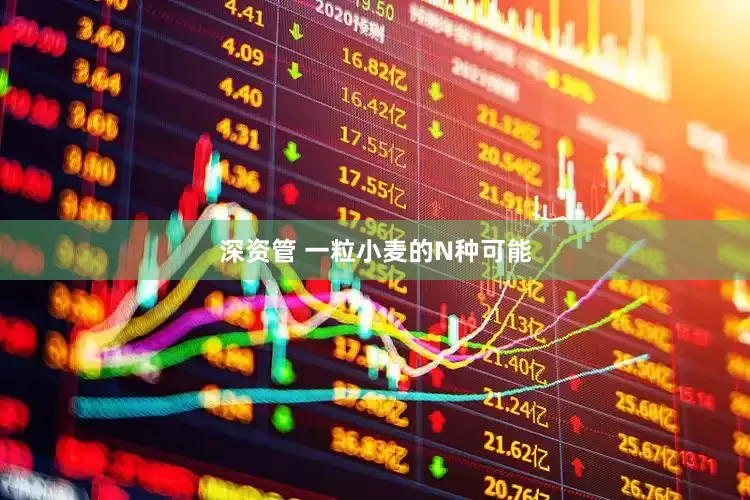 深资管 一粒小麦的N种可能